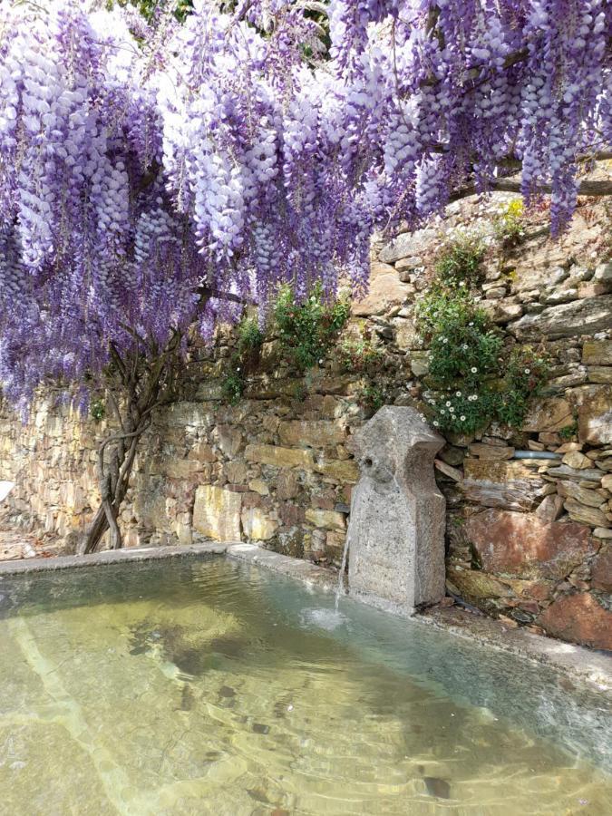 Quinta Das Aranhas Villa Castelo de Paiva Bagian luar foto