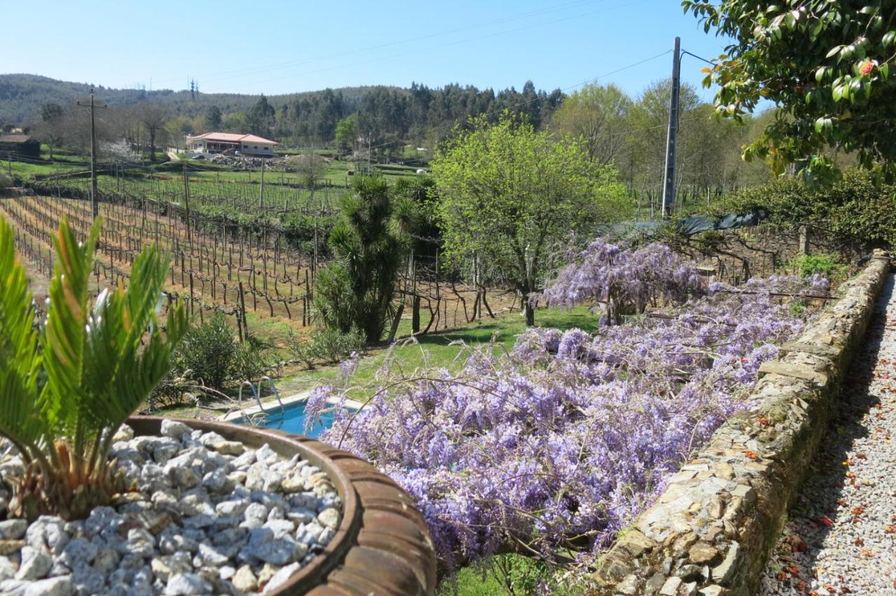 Quinta Das Aranhas Villa Castelo de Paiva Bagian luar foto